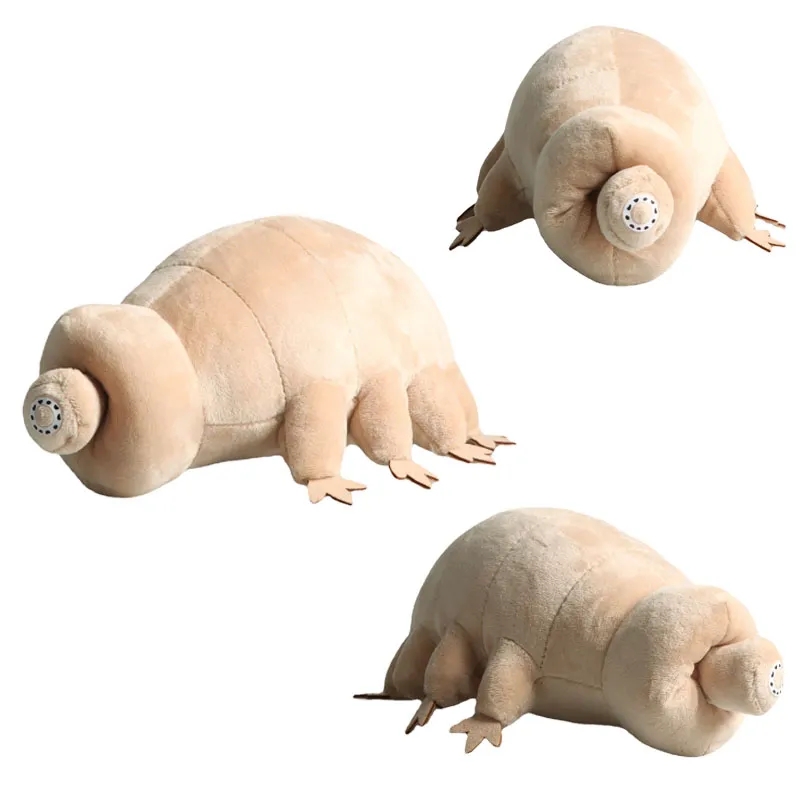 25 cm ours d'eau Tardigrade en - Kids Education Movies avis et prix