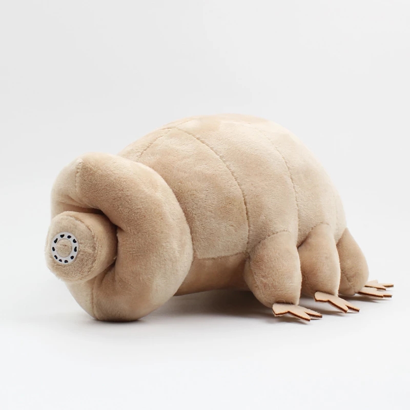 25 cm ours d'eau Tardigrade en - Kids Education Movies avis et prix