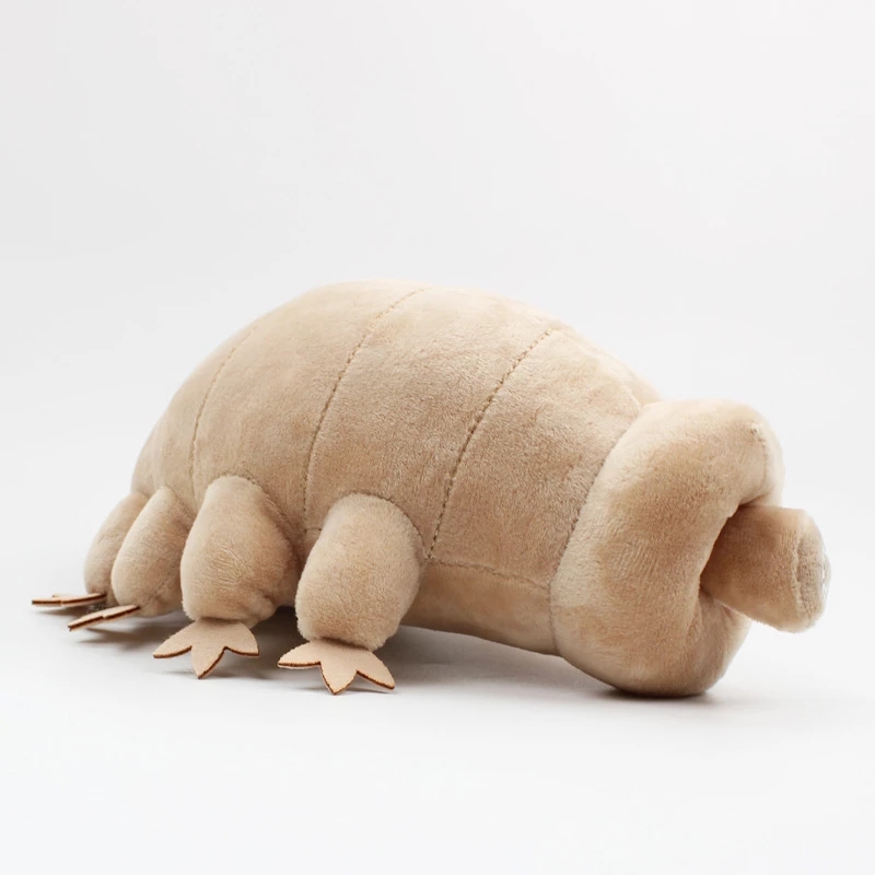 25 cm ours d'eau Tardigrade en - Kids Education Movies avis et prix